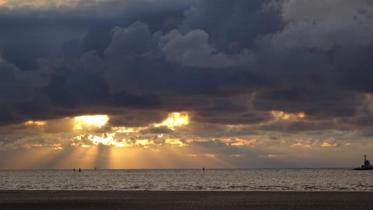 Bild 54 Bild 54